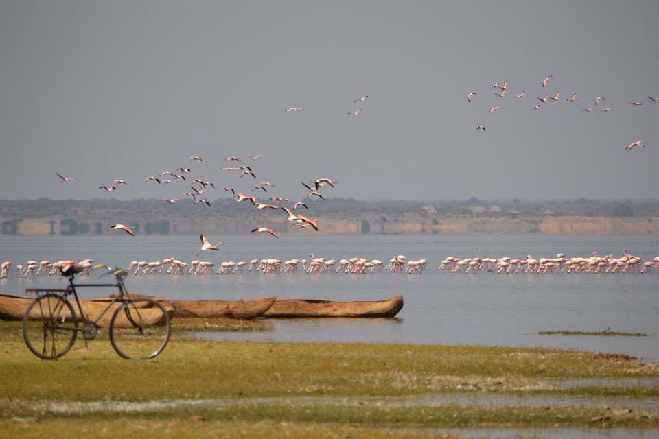 Lake Manyara Mountainbike trip